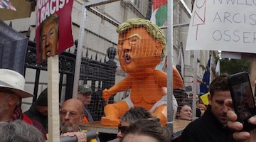 Freedom Rider: How to Protest Trump