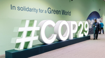 COP 29