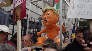 Freedom Rider: How to Protest Trump