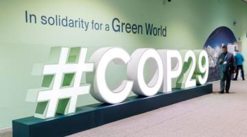 COP 29